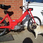 Puch maxi k Byttet