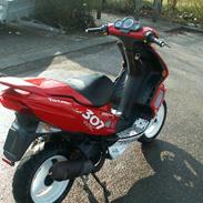 Peugeot Speedfight 2 307 WRC