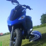 PGO ligero ( Total Skadet)