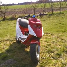 PGO Hot 50 Projekt solgt