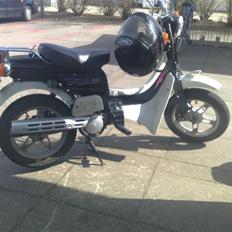 Suzuki fz 50 jaguaren