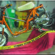 Yamaha passola (ts lc)