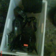 Aprilia Sonic[SOLGT]