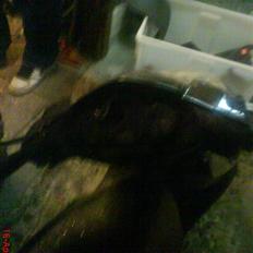 Aprilia Sonic[SOLGT]