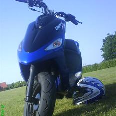 PGO ligero ( Total Skadet)