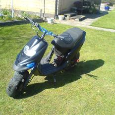 Gilera Stalker byttet