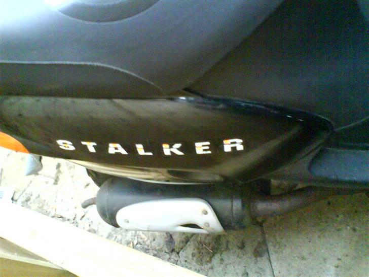 Gilera stalker kørt ned  - stalker billede 4