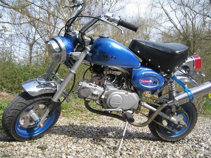 Jincheng Monkey billede 1