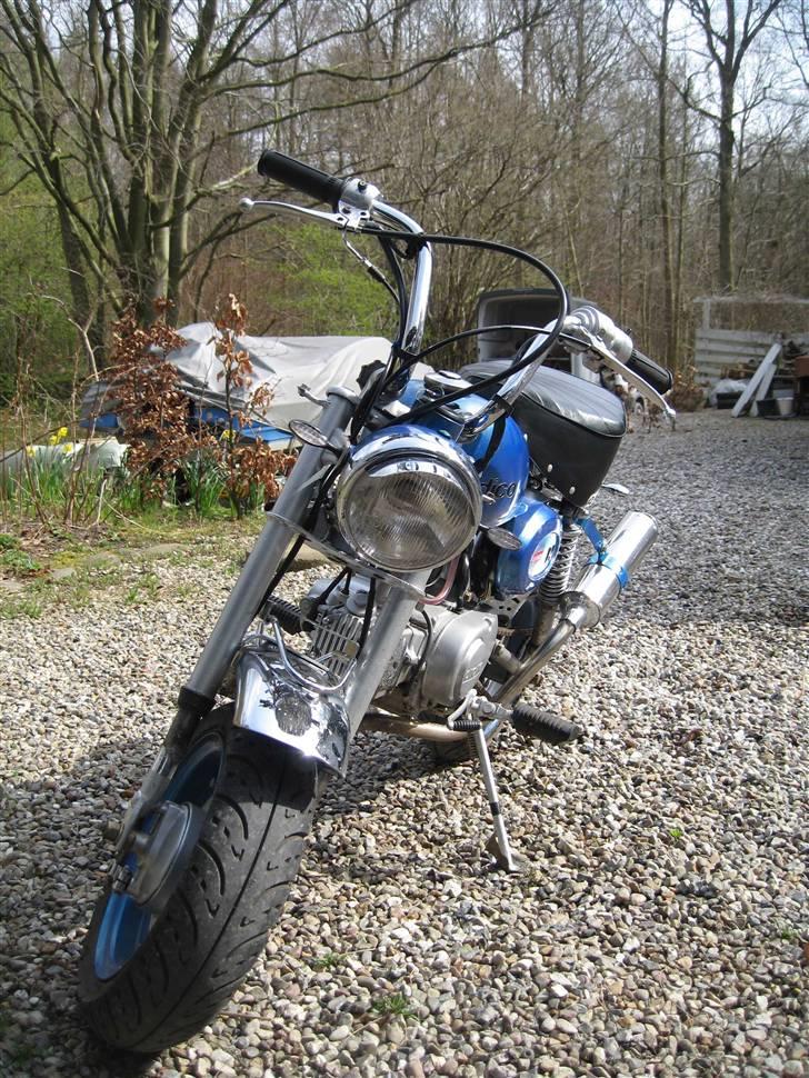 Jincheng Monkey billede 2