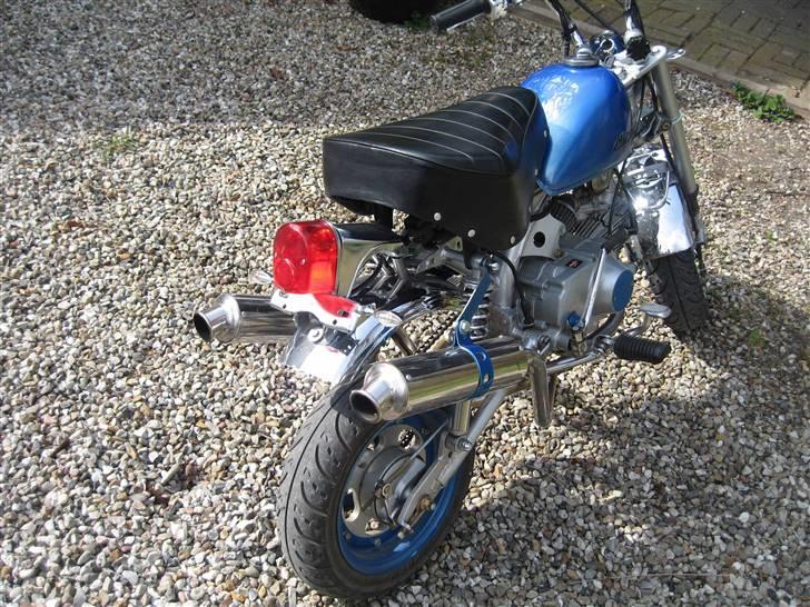 Jincheng Monkey billede 3