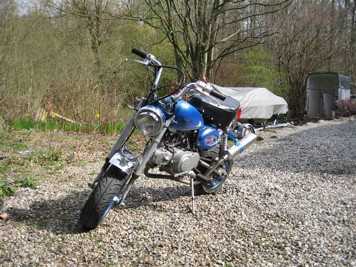 Jincheng Monkey billede 4