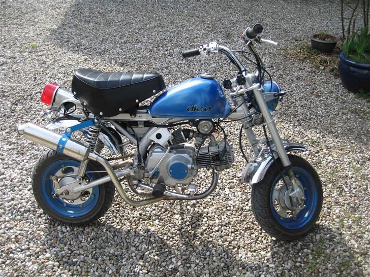 Jincheng Monkey billede 5