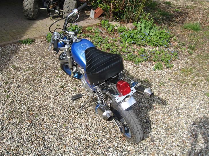 Jincheng Monkey billede 6