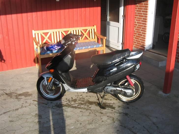 Adly Baboon billede 2