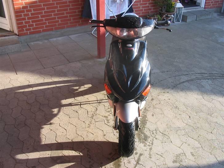 Adly Baboon billede 4