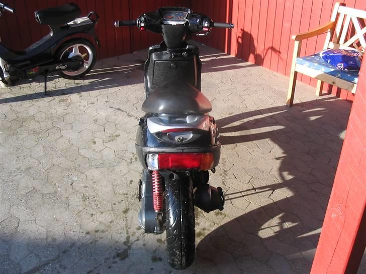 Adly Baboon billede 5