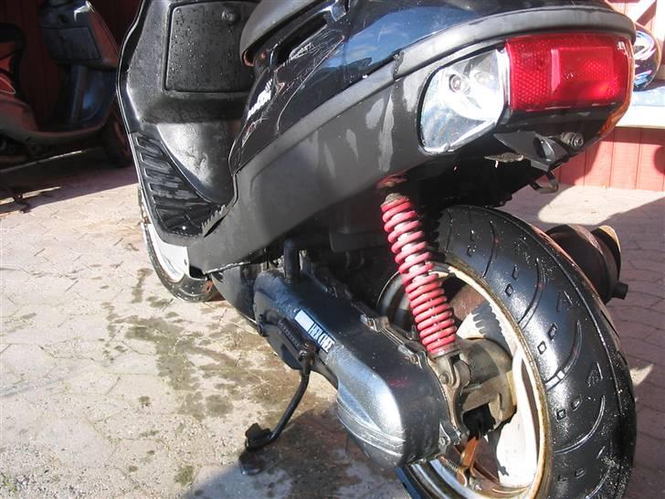 Adly Baboon billede 9