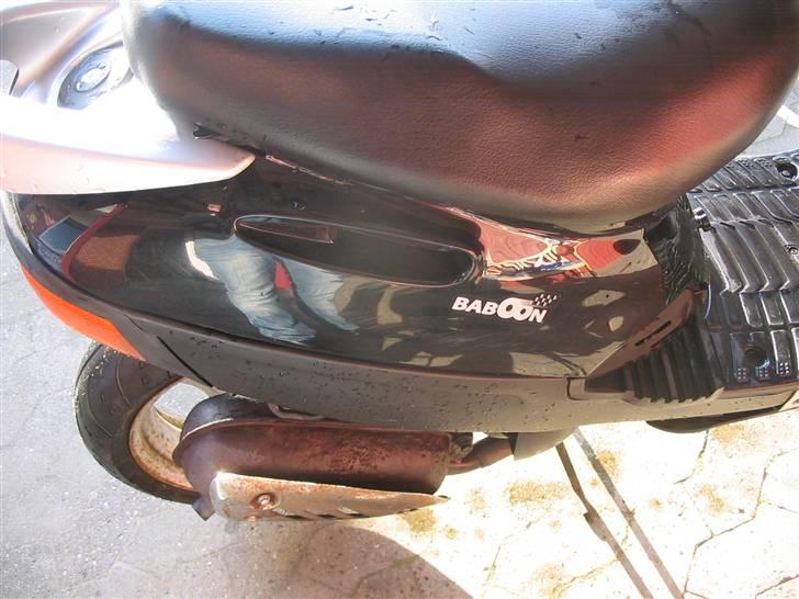 Adly Baboon billede 11