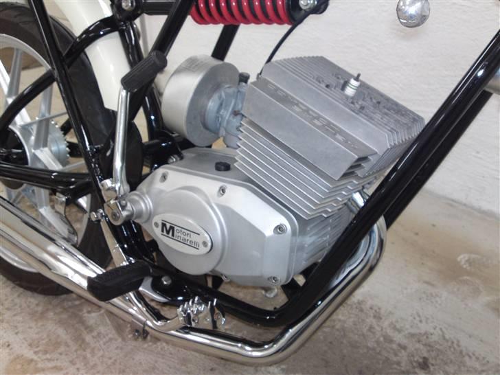 Veteraner Gitane Testi Elf Daytona billede 3