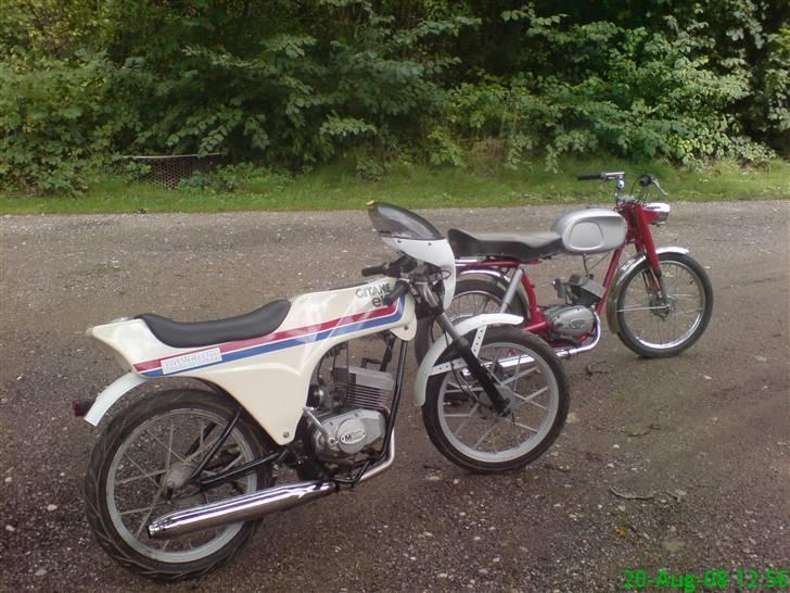 Veteraner Gitane Testi Elf Daytona billede 5