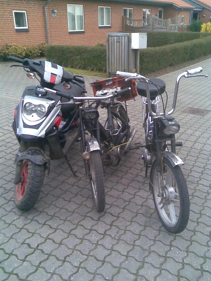 Puch Maxi billede 19