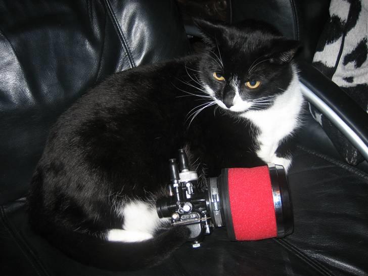 Aprilia Sonic KSJ Stjålet billede 15