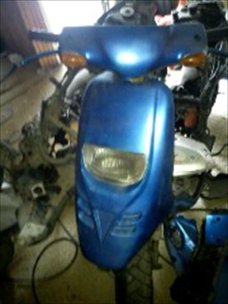 Piaggio Typhoon billede 1