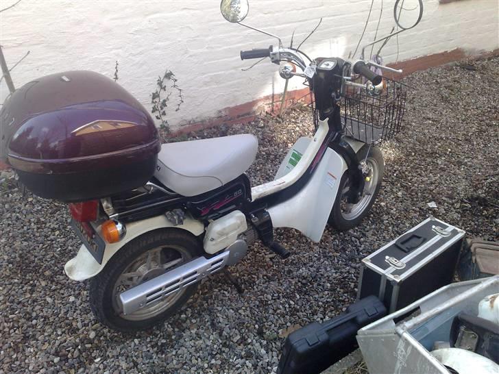 Suzuki fz 50 jaguaren - da jeg fik den hjem he he  billede 3