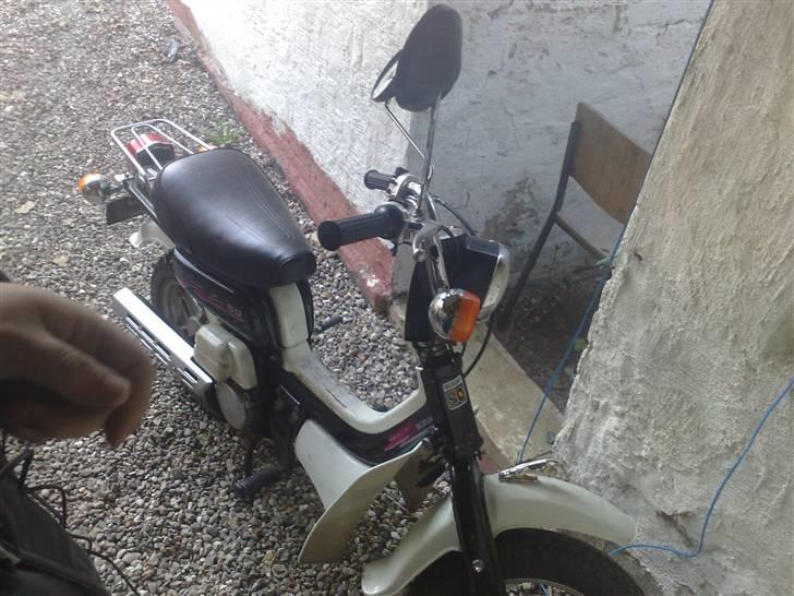 Suzuki fz 50 jaguaren - som den ser ud nu  billede 5