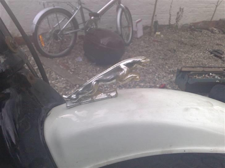 Suzuki fz 50 jaguaren - yeah jaguaren det ser du ikke hver dag  billede 8