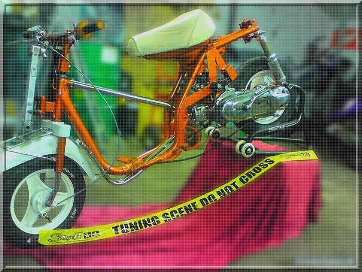 Yamaha passola (ts lc) billede 1