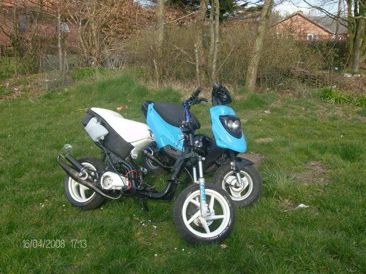 Aprilia Rally - Tykke - Tykke Aka Mia sammen med vDirty Aka Josephine billede 12