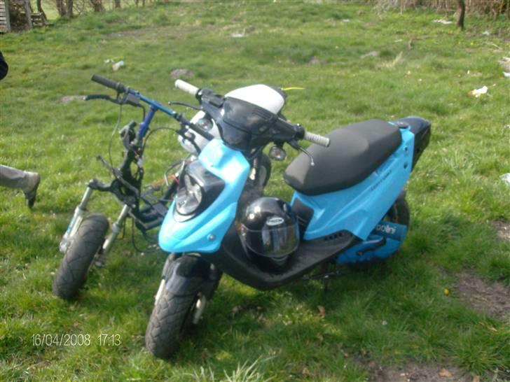 Aprilia Rally - Tykke - Tykke Aka Mia sammen med vDirty Aka Josephine billede 13