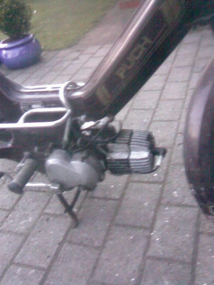 Puch maxi k SOLGT billede 4