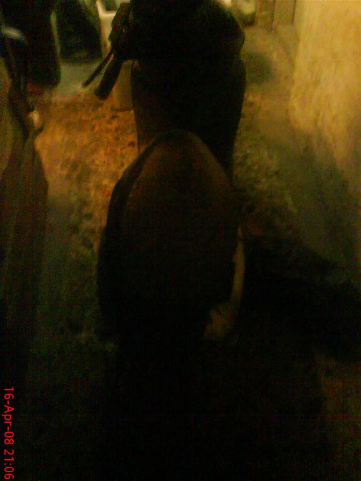 Aprilia Sonic[SOLGT] billede 4