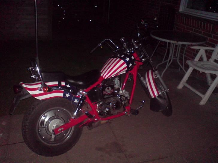 Regal raptor   ( BYTTET!) billede 1