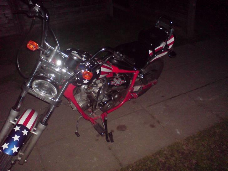 Regal raptor   ( BYTTET!) billede 4