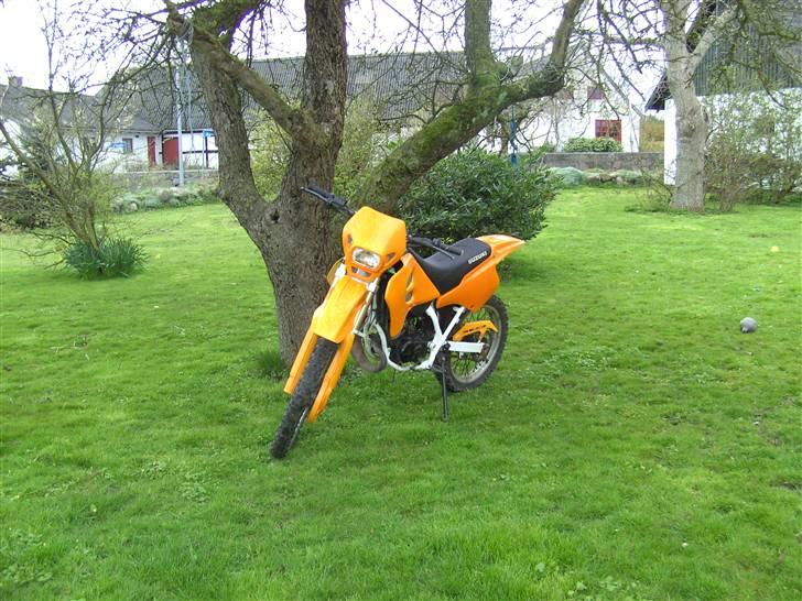 Suzuki Rmx billede 2