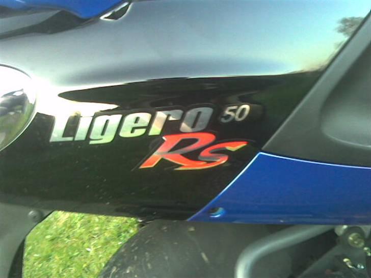 PGO ligero ( Total Skadet) billede 5