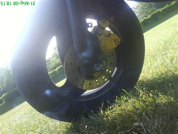 PGO ligero ( Total Skadet) billede 6