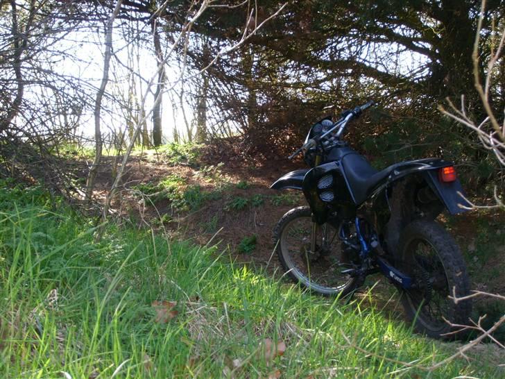 Suzuki RMX billede 7