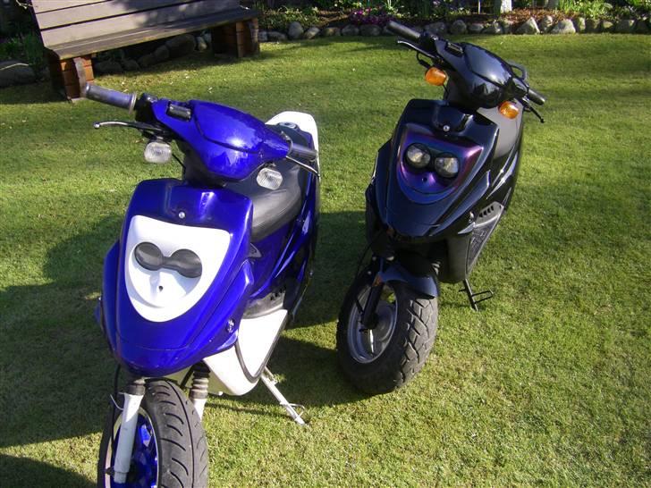 PGO Hot 50 (solgt) billede 10