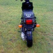 PGO Big max50 projekt