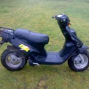 PGO Big max50 projekt