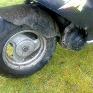 PGO Big max50 projekt