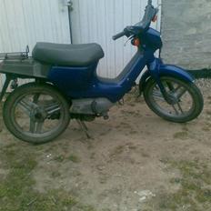 Honda wallaroo (SOLGT)