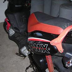 PGO PMX (R.I.P)
