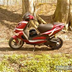 Aprilia sr 50 DITECH - SOLGT!