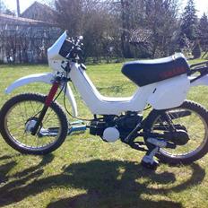 Yamaha Sting | SOLGT