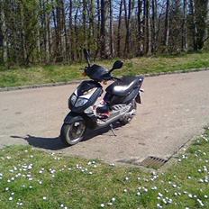 PGO Dr. Big Dømt TOTALSKADET